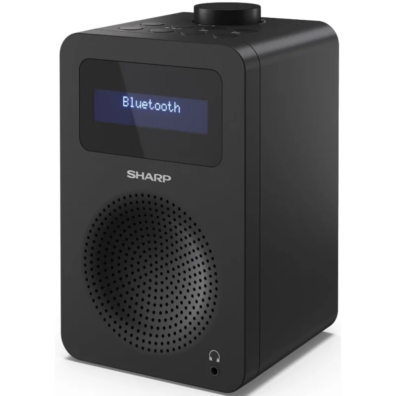Аудио техника Цифрово радио Sharp DR-430(BK)