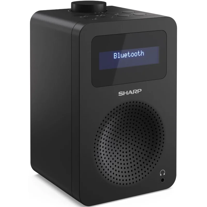 Аудио техника Цифрово радио Sharp DR-430(BK)