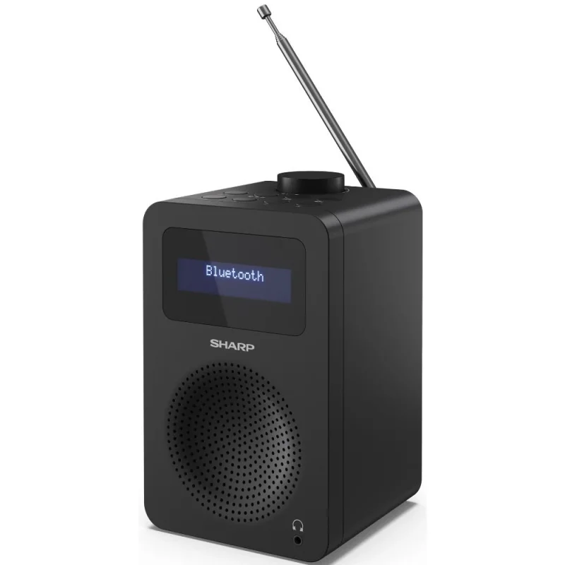 Аудио техника Цифрово радио Sharp DR-430(BK)