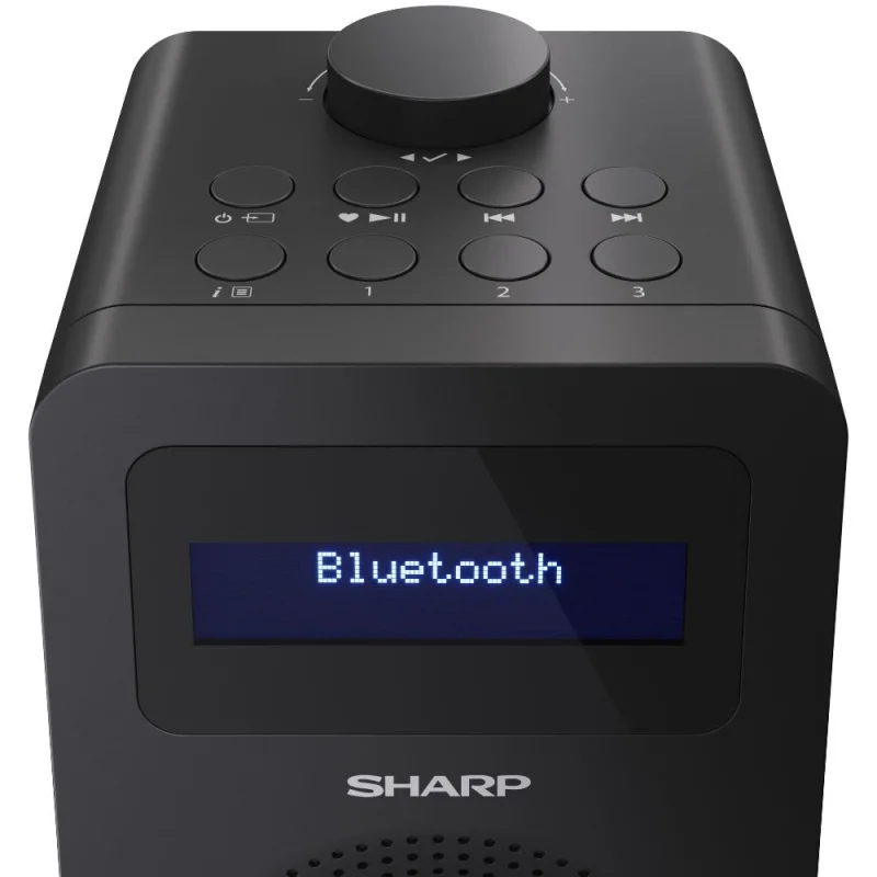 Аудио техника Цифрово радио Sharp DR-430(BK)