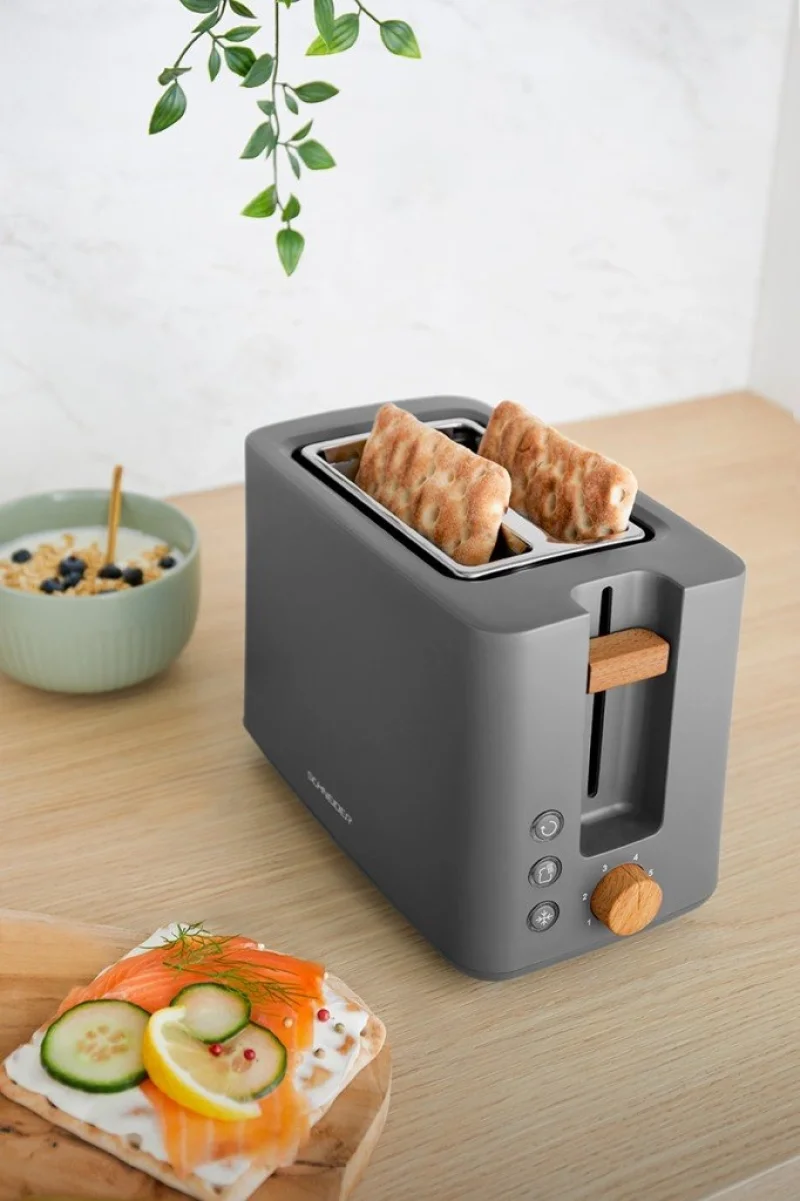 Тостери Тостер Schneider SCTON2G-2 Fjord Сив